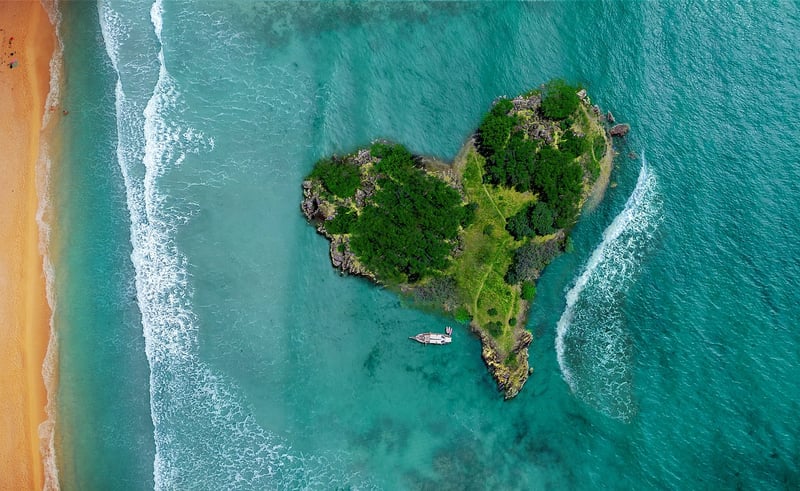 Tropical Landscape